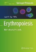 Erythropoiesis