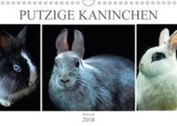 Putzige Kaninchen - Artwork (Wandkalender 2018 DIN A4 quer)
