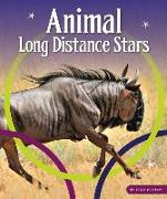 ANIMAL LONG DISTANCE STARS