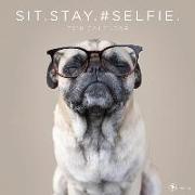 Sit Stay #Selfie 2018 Wall Calendar