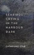 Seabirds Crying in the Harbour Dark