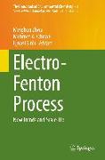 Electro-Fenton Process