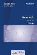 Berufsreifeprüfung Mathematik - Lösungsbuch