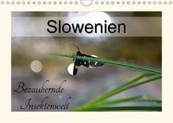 Slowenien - bezaubernde Insektenwelt (Wandkalender 2018 DIN A4 quer)