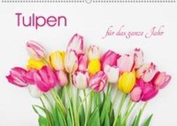 Tulpen für das ganze Jahr (Wandkalender 2018 DIN A2 quer)