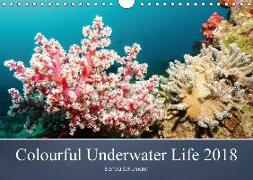 Colourful Underwater Life 2018 (Wall Calendar 2018 DIN A4 Landscape)