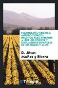 Paleografía Visigoda: Método Teórico-Práctico Para Aprender a Leer Los Codices Y Documentos Españoles de Los Siglos V Al XII