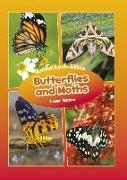 Butterflies and Moths