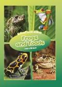 Frogs and Toads