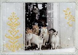 Wand-Adventskalender - Katzen-Winterträume