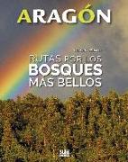 Rutas por los bosques más bellos