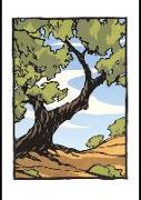 Oaks: Boxed Set of 6 Cards