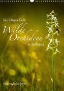 Im richtigen Licht: Wilde Orchideen in Südbayern (Wandkalender 2018 DIN A3 hoch)