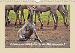 Dülmener Wildpferde im Münsterland (Wandkalender 2018 DIN A4 quer)