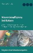 Niereninsuffizienz bei Katzen