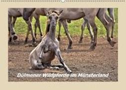 Dülmener Wildpferde im Münsterland (Wandkalender 2018 DIN A2 quer)