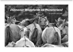 Dülmener Wildpferde im Münsterland in schwarz und weiß (Wandkalender 2018 DIN A2 quer)