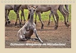 Dülmener Wildpferde im Münsterland (Tischkalender 2018 DIN A5 quer)