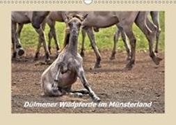 Dülmener Wildpferde im Münsterland (Wandkalender 2018 DIN A3 quer)