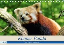 Kleiner Panda auf Entdeckungstour (Tischkalender 2018 DIN A5 quer)
