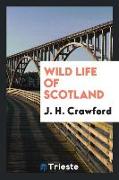 Wild Life of Scotland