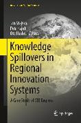 Knowledge Spillovers in Regional Innovation Systems