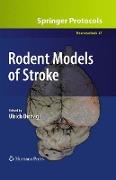 Rodent Models of Stroke