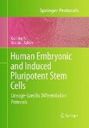 Human Embryonic and Induced Pluripotent Stem Cells