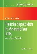 Protein Expression in Mammalian Cells