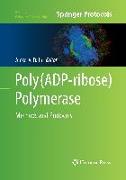 Poly(ADP-ribose) Polymerase