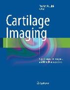 Cartilage Imaging