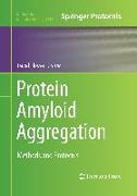 Protein Amyloid Aggregation