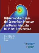 Delivery and Mixing in the Subsurface