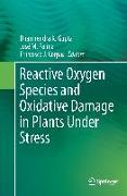 Reactive Oxygen Species and Oxidative Damage in Plants Under Stress