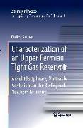 Characterization of an Upper Permian Tight Gas Reservoir