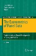 The Econometrics of Panel Data