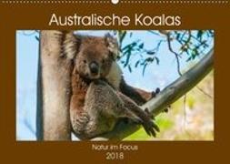 Australische Koalas (Wandkalender 2018 DIN A2 quer)