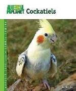 Cockatiels