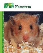 Hamsters