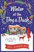 Winter at the Dog & Duck