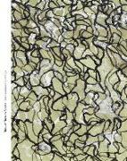 Think of Them as Spaces: Brice Marden's Drawings