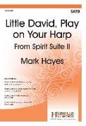 Little David, Play on Your Harp: From Spirit Suite II