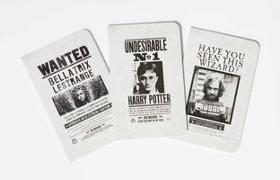 Harry Potter: Wanted Posters Pocket Notebook Collection