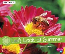 Let's Look at Summer: A 4D Book