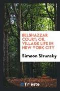 Belshazzar court, or, Village life in New York city