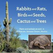 Rabbits and Rats, Birds and Seeds, Cactus and Trees: Plants and Animals at Work in El Pinacate, Sonoran Desert, Mexico