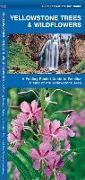 Yellowstone Trees & Wildflowers: A Folding Pocket Guide to Familiar Plants of the Yellowstone Area