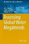 Assessing Global Water Megatrends