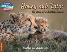 Cambridge Reading Adventures Honey and Toto: The Story of a Cheetah Family 1 Pathfinders