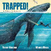 Trapped! A Whale's Rescue